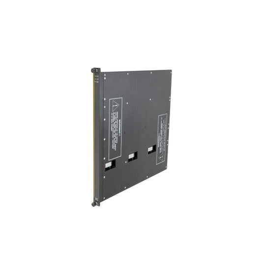 Triconex 7400069-005